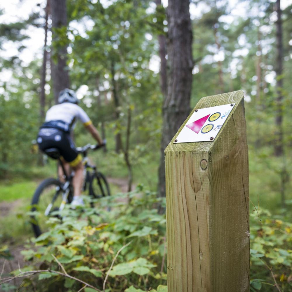 Mountainbikenetwerk Balen