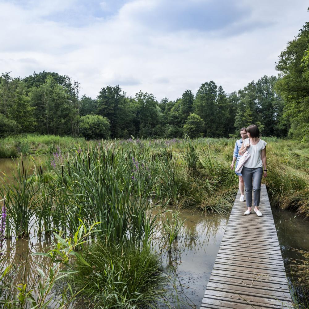 Natuurgebied Griesbroek