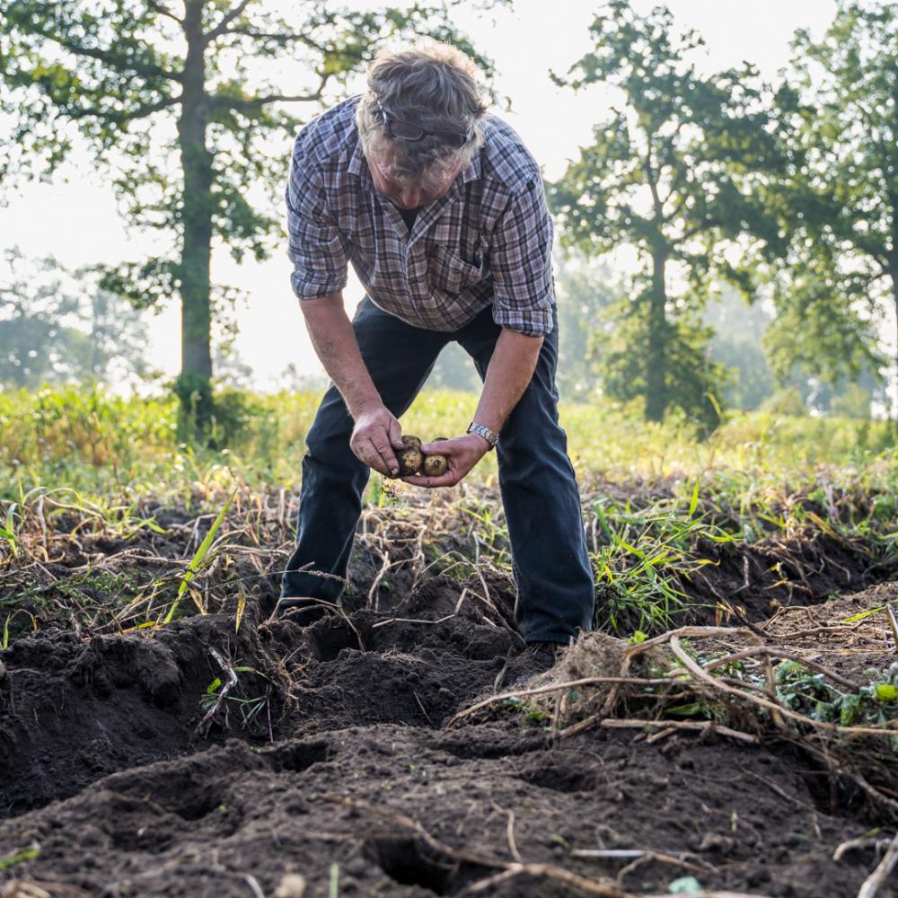 aardappelen Lemmens