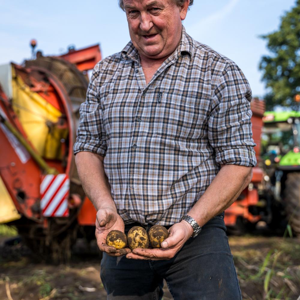 aardappelen Lemmens