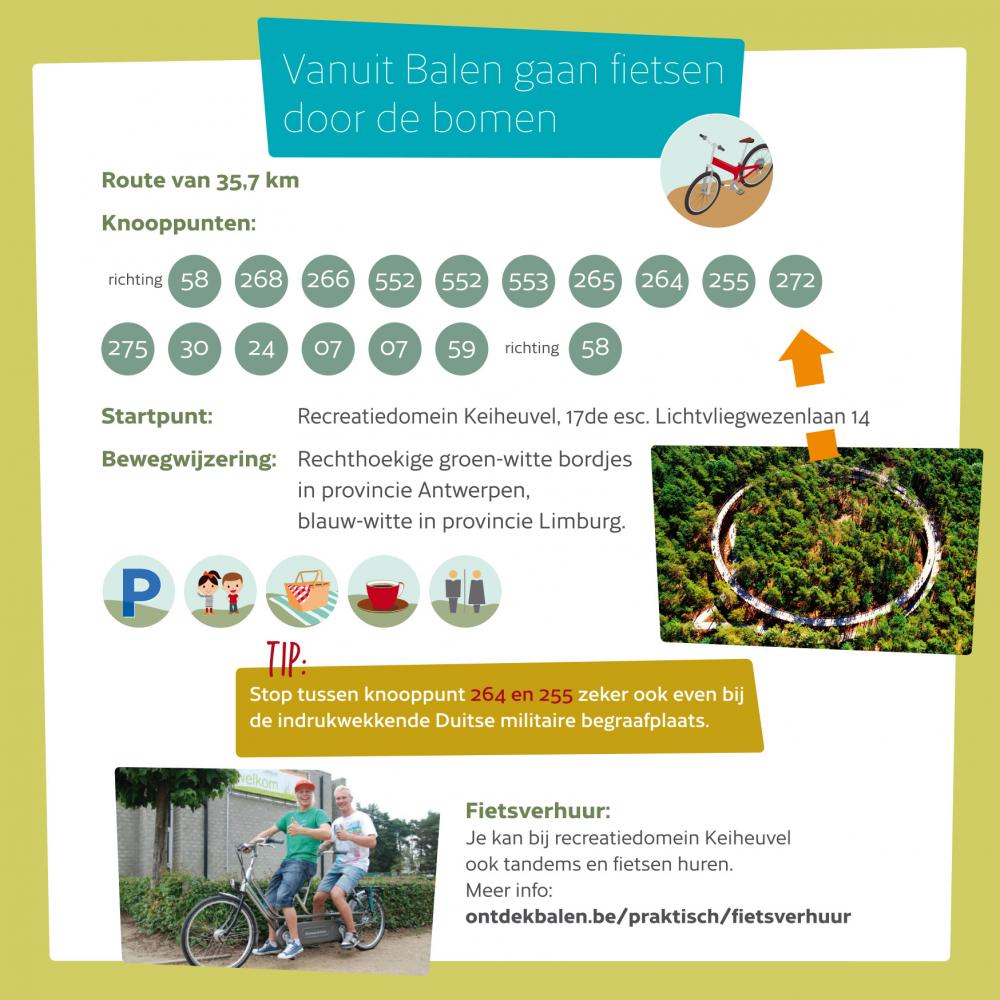 vanuit Balen gaan fietsen door de bomen 