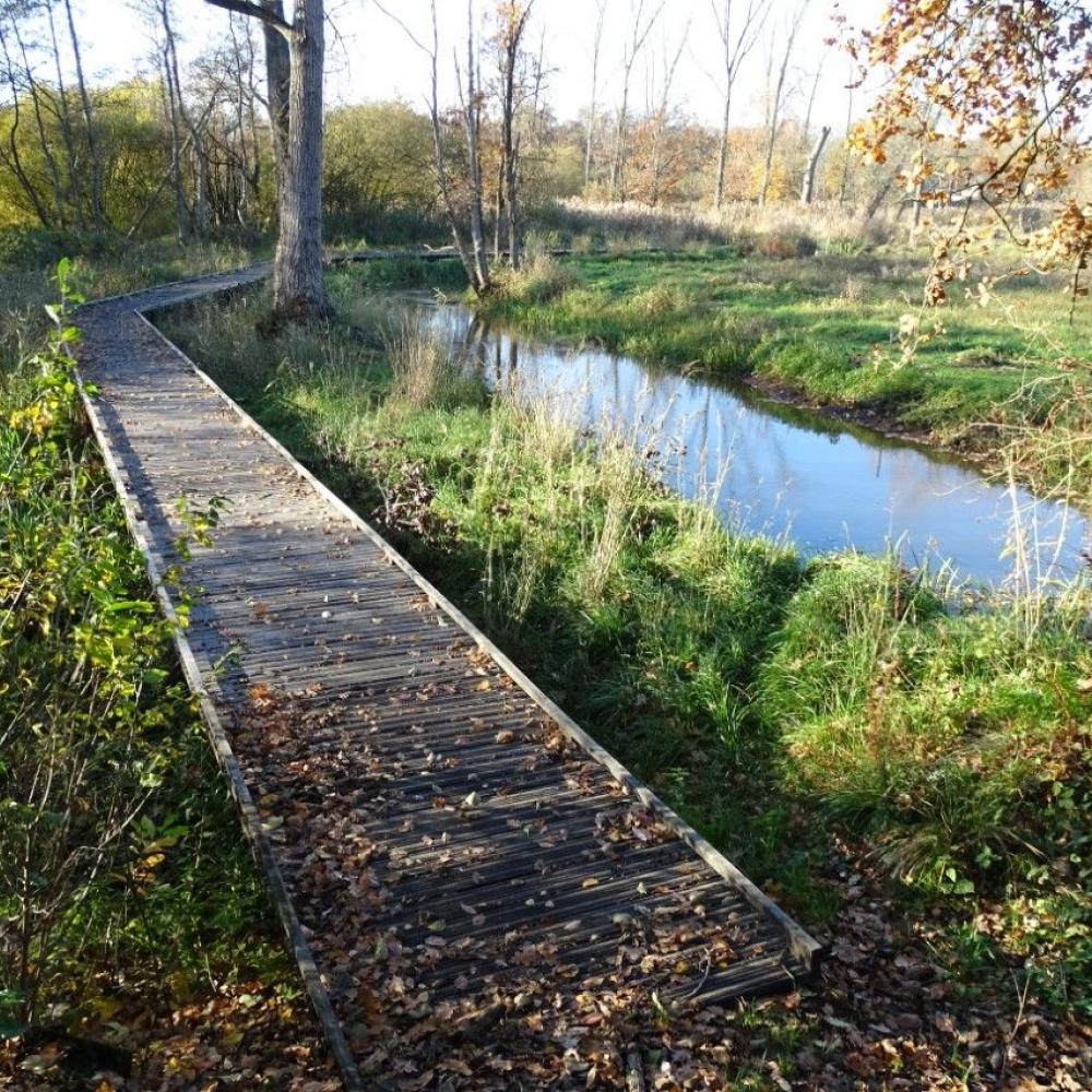 molderbroek